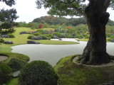 img0056.jpg
