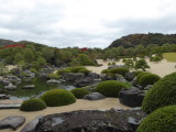 img0060.jpg