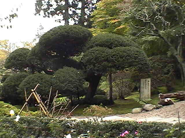 西村公男's Diary